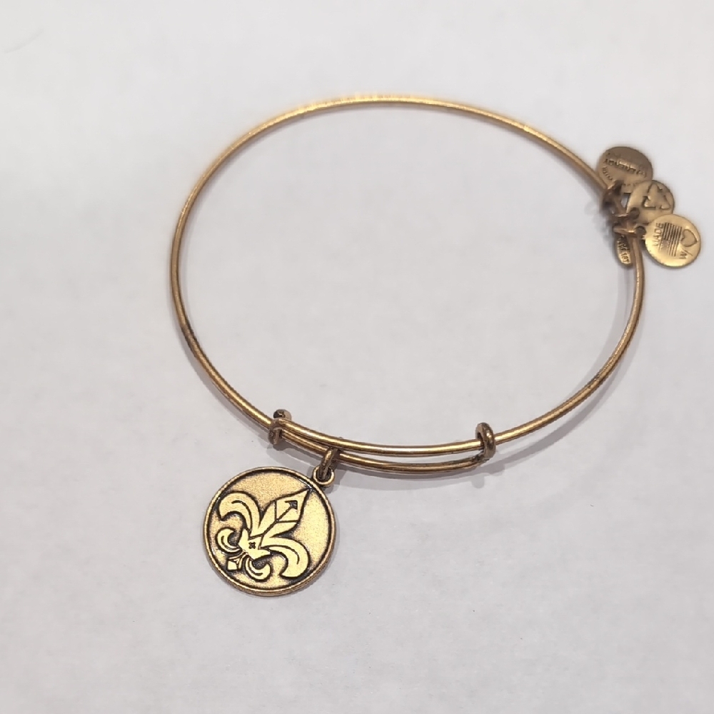 Alex and Ani Gold Charm Bracelet